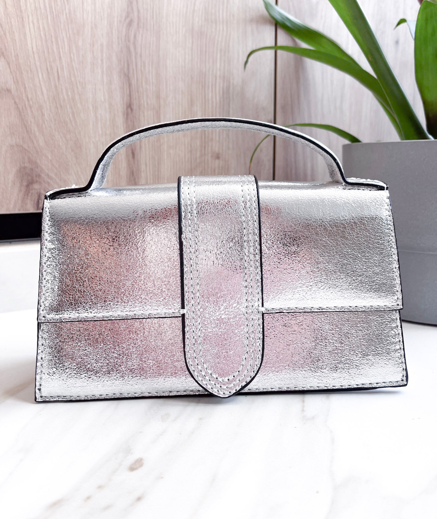 BOLSO CAMUS PLATA